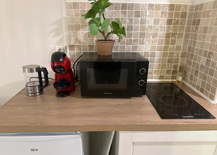 Studio Ubytování v soukromí *